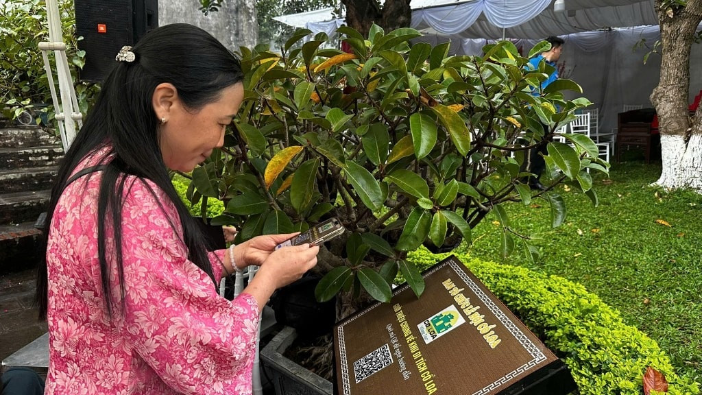 Người dân quét mã QR để tìm hiểu về di tích Cổ Loa (Ảnh: Thái Sơn)