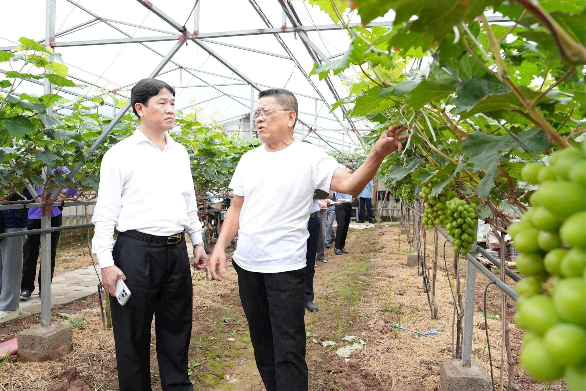 Xã Thuận An: Gỡ khó từ đồng ruộng, tiếp sức cho những mô hình nông nghiệp mới