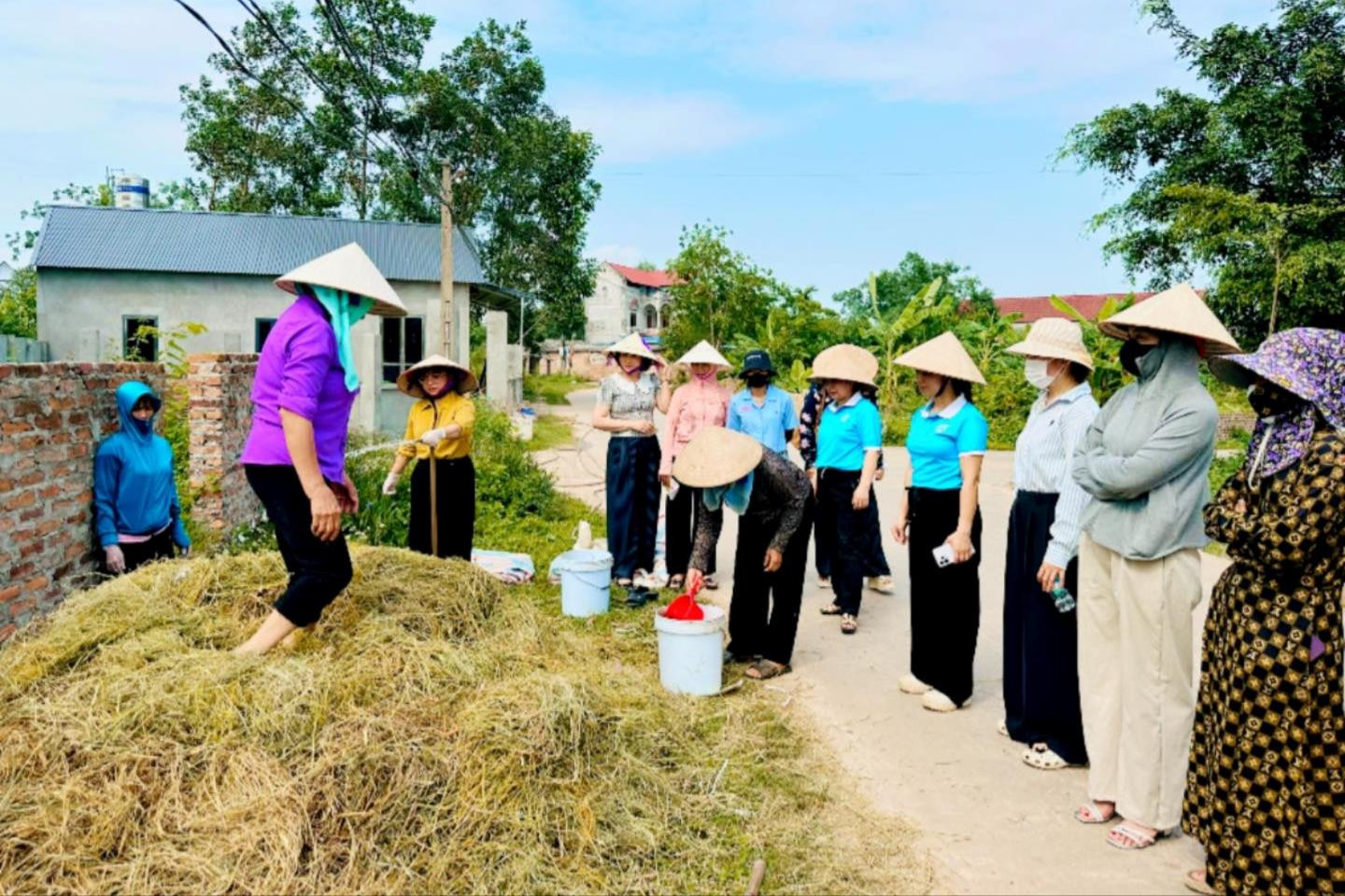 Xã Trung Giã: Ra mắt mô hình “Cánh đồng sạch”, quyết tâm “Nói không với đốt rơm rạ”