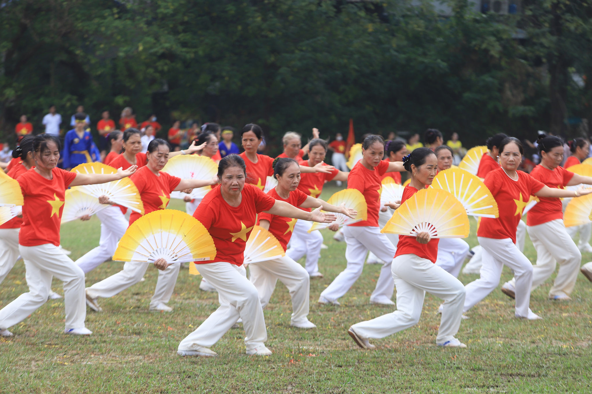 dong-dien-2.jpg