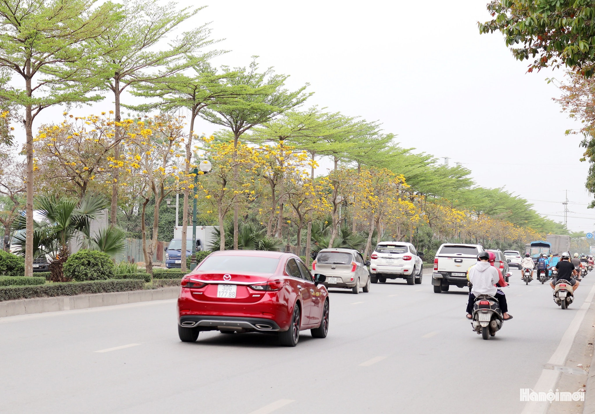 Hà Nội nắng nóng đỉnh điểm, có nơi trên 40 độ C