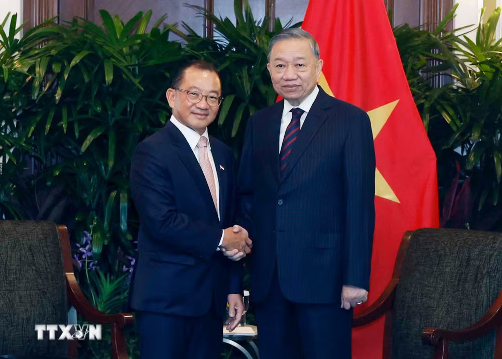 c0bf16bba2f7b98d-_ttxvn-tong-bi-thu-chu-tich-nuoc-to-lam-hoi-kien-chu-tich-quoc-hoi-singapore-seah-kian-peng-3005-1.jpg