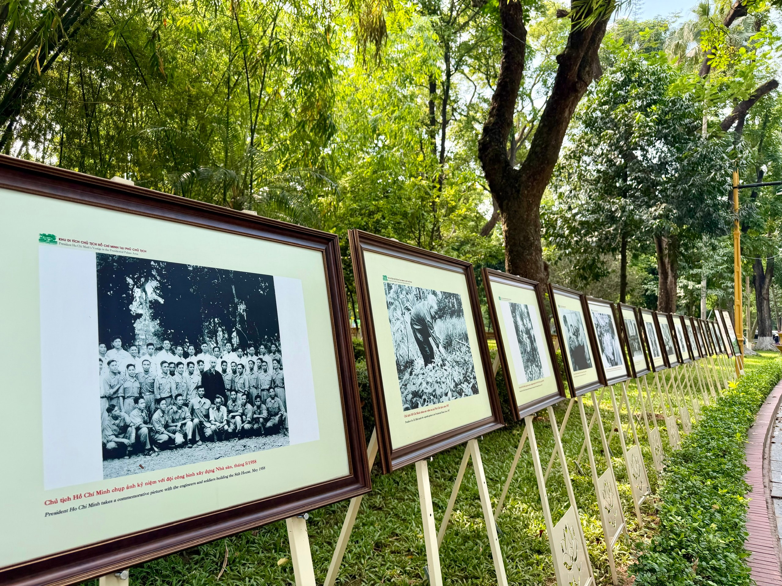 trlam-anh-pct.jpg