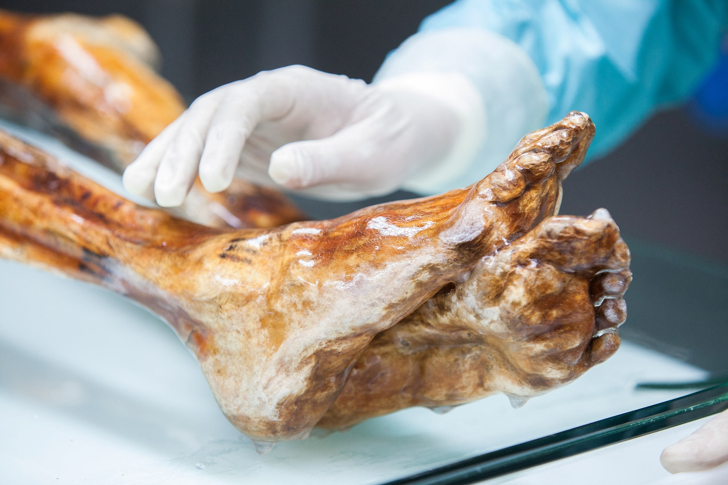 Một phần cơ thể của Ötzi, được gọi là “Người băng”, xác ướp tự nhiên cổ nhất được phát hiện năm 1991 tại dãy Alps. Ảnh: Reuters