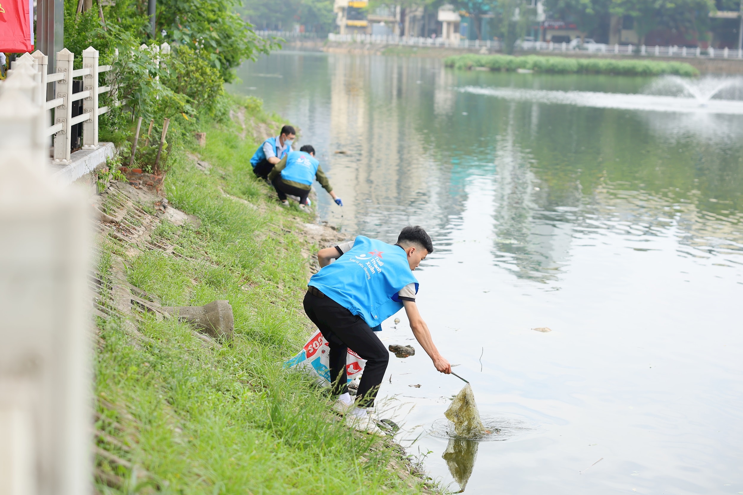 binh5817.jpg