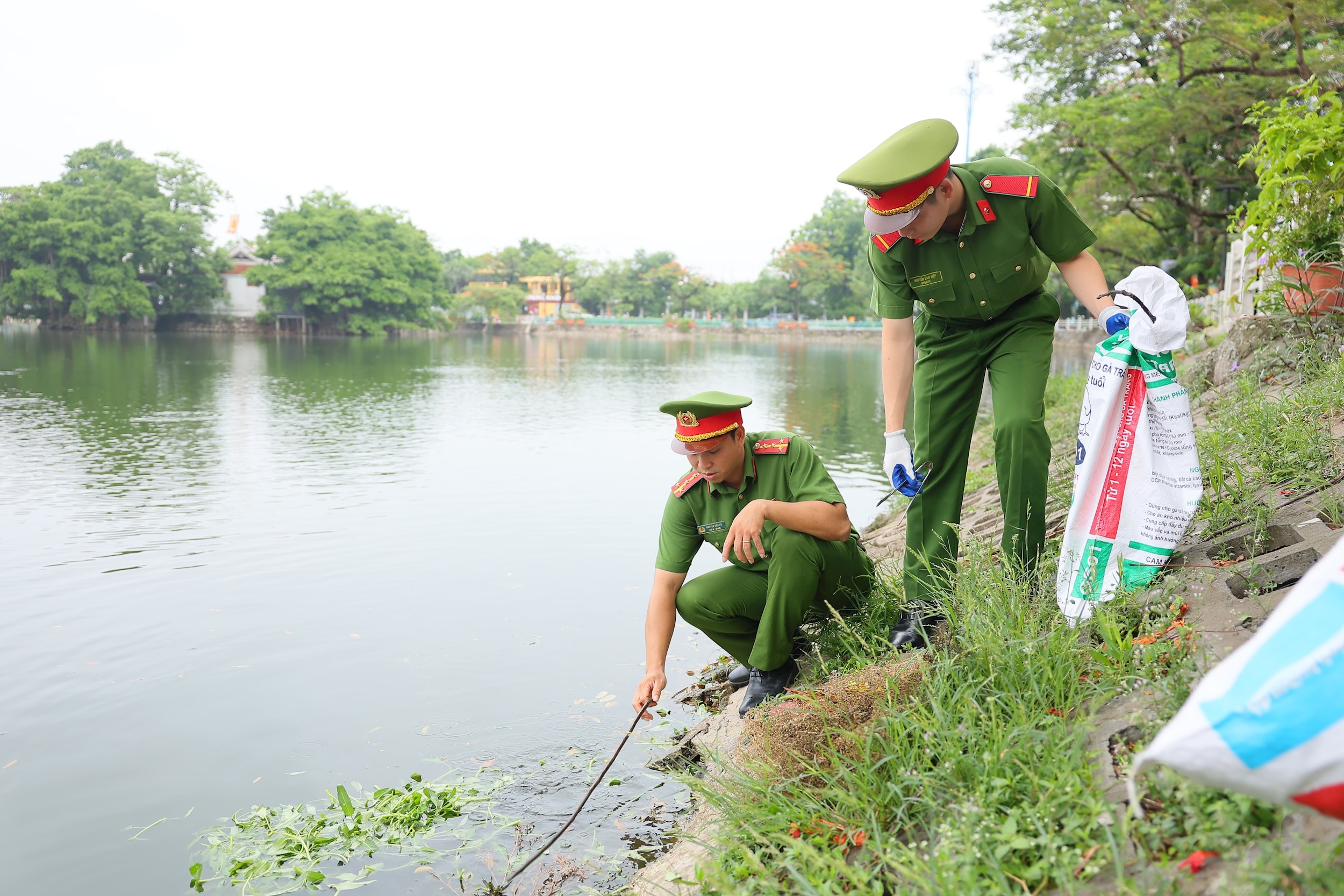 binh5837.jpg