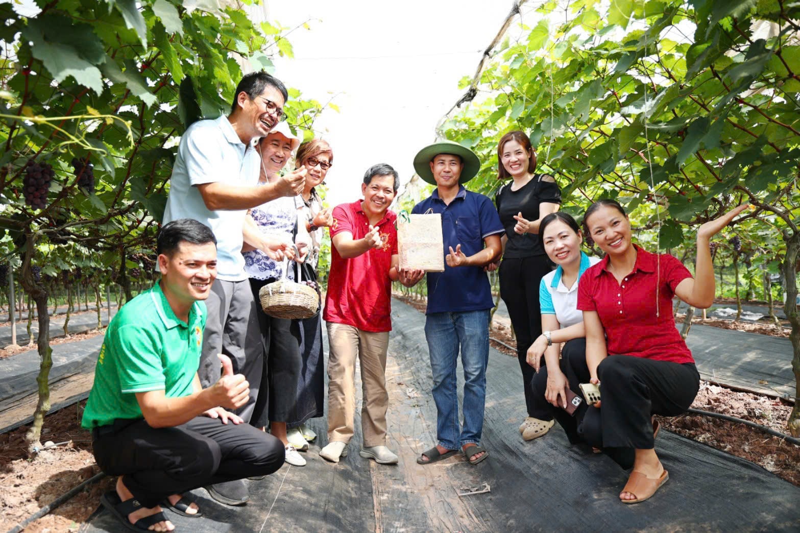 ha-noi-xanh-1.jpg