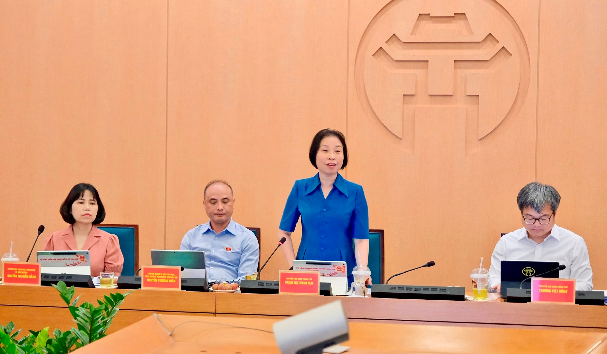 Phó Chủ tịch HĐND thành phố Hà Nội Phạm Thị Thanh Mai phát biểu tại cuộc họp. Ảnh: Thành An