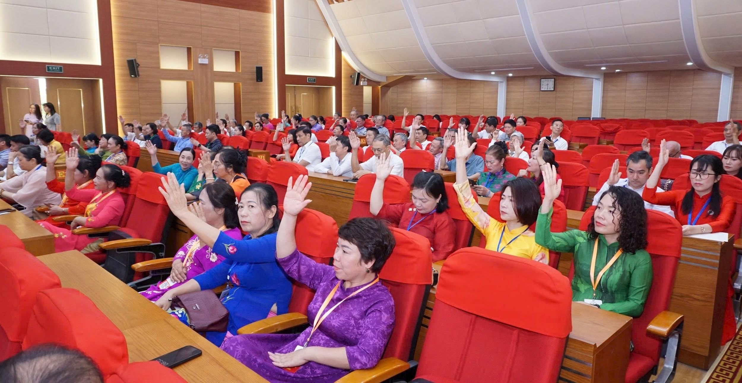 dai-bieu-bieu-quyet.jpg