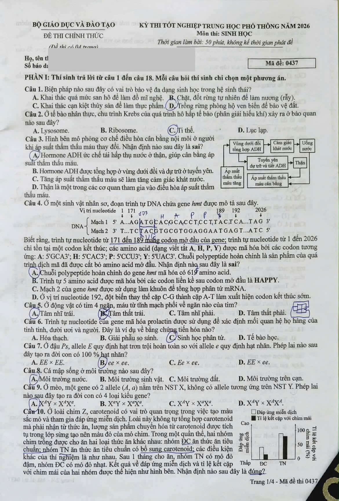 de-sinh-1.jpg