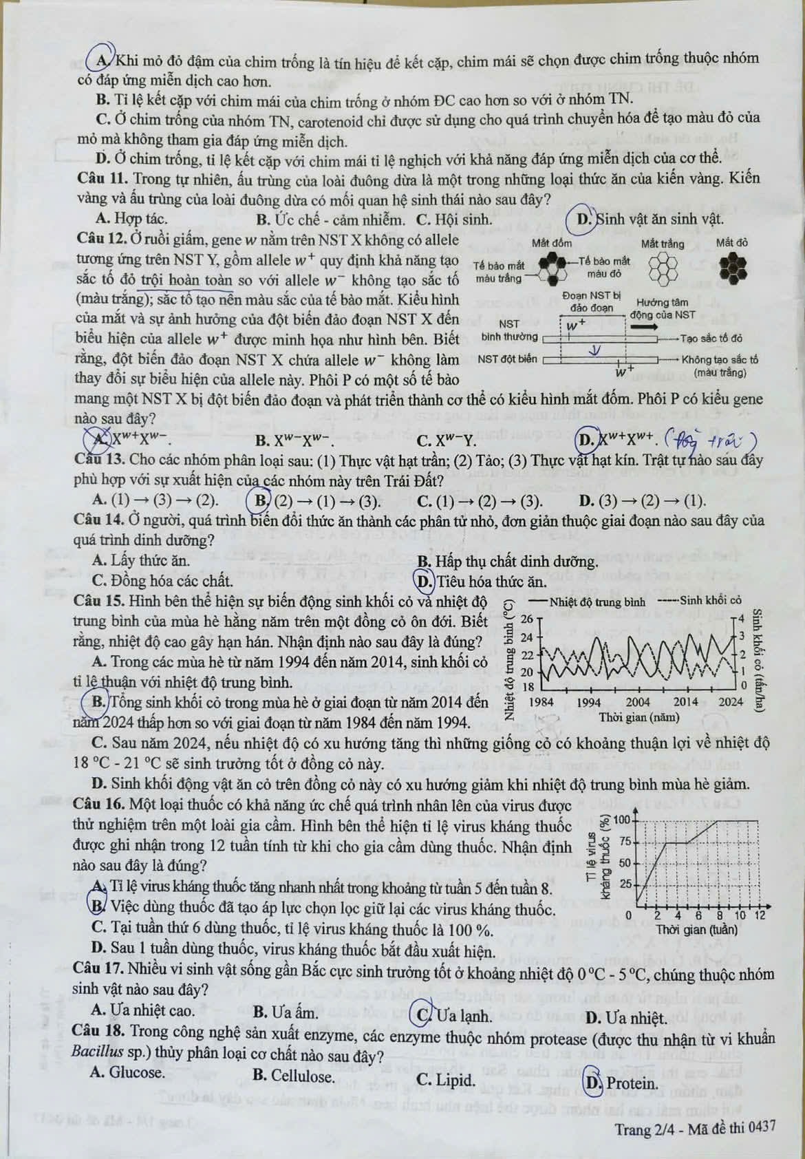 de-sinh-2.jpg