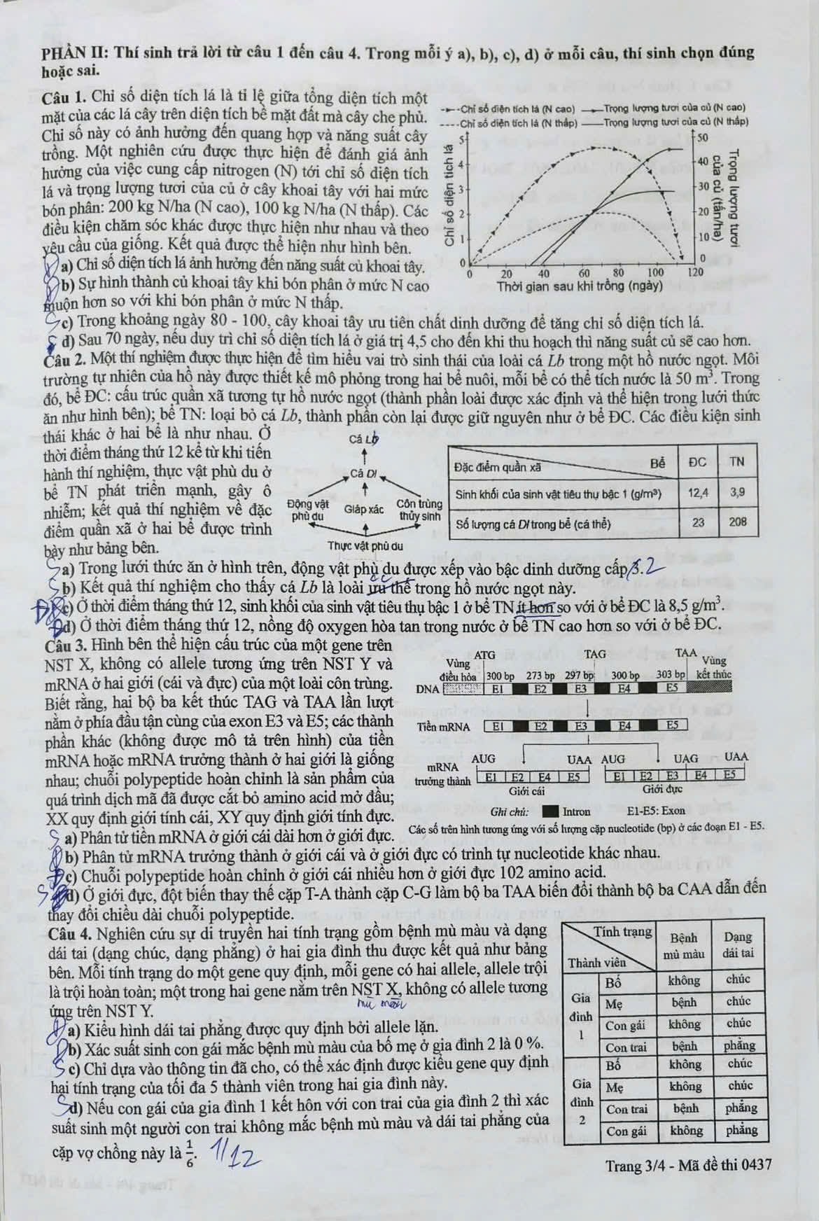 de-sinh-3.jpg