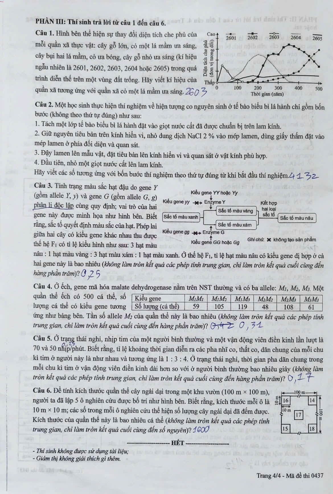 de-sinh-4.jpg