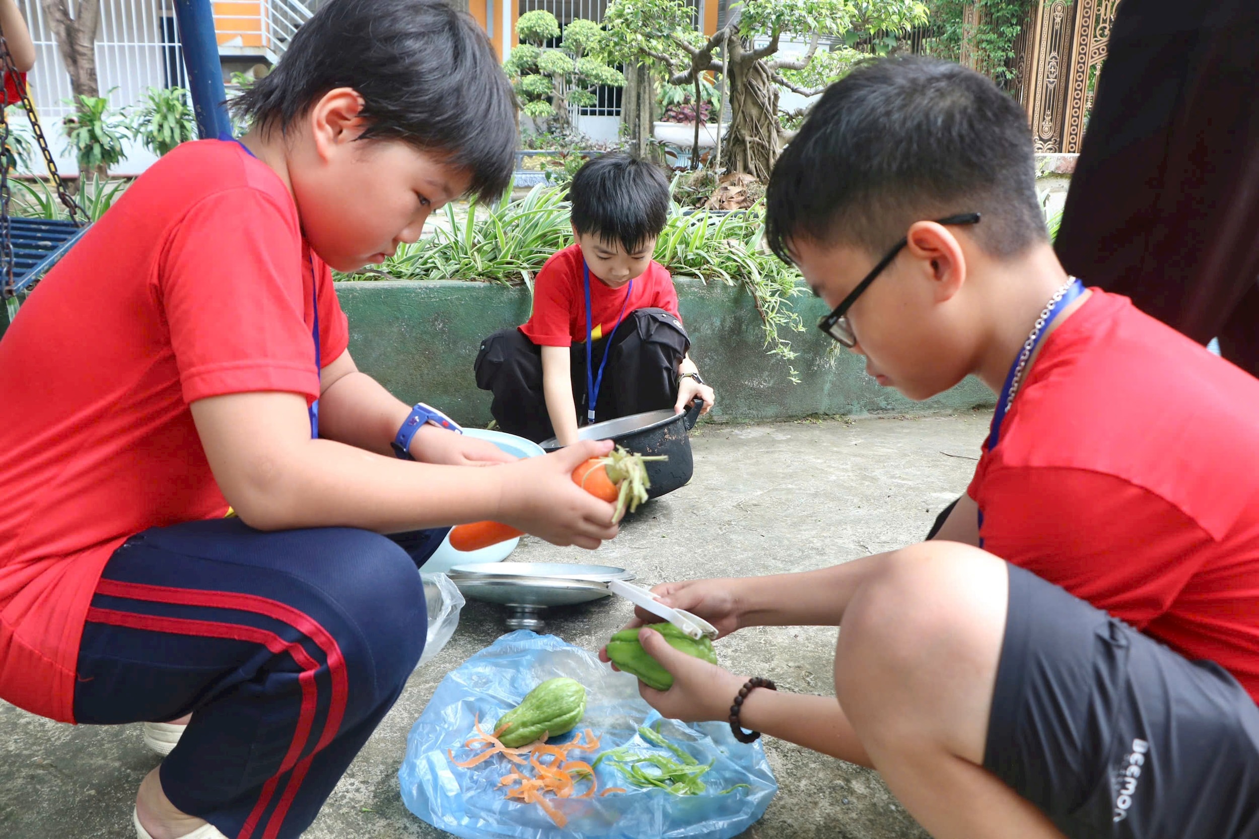 g12.jpg