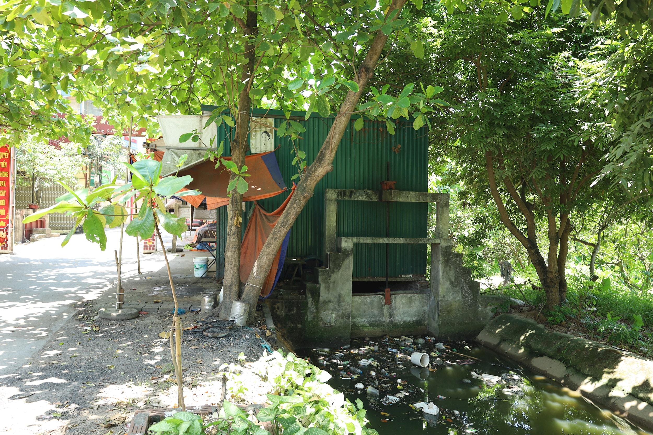 kenh-mang-7.jpg