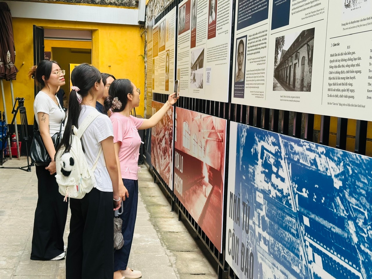 hoa-lo-5.jpg