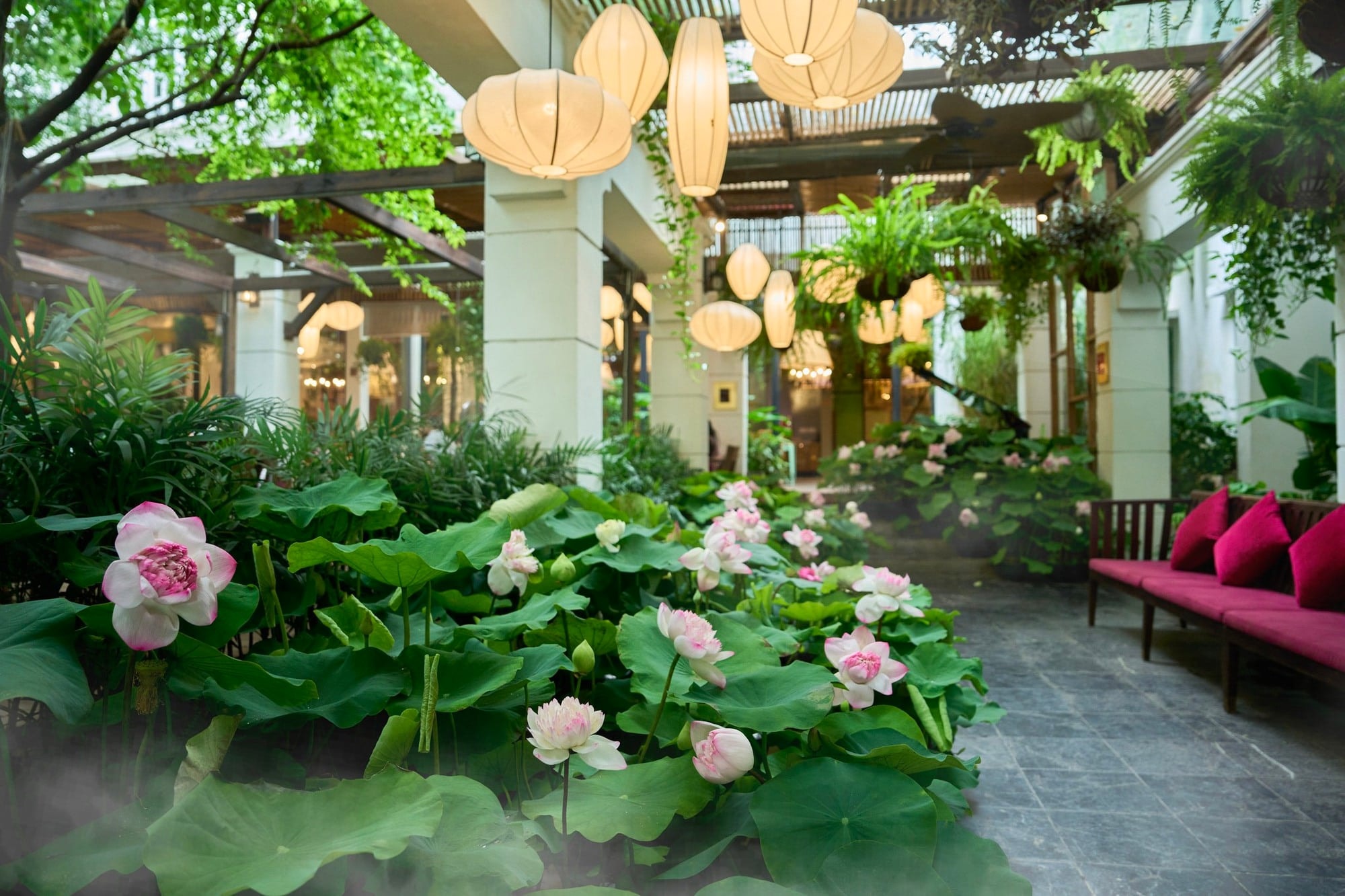 ngon-garden.jpeg
