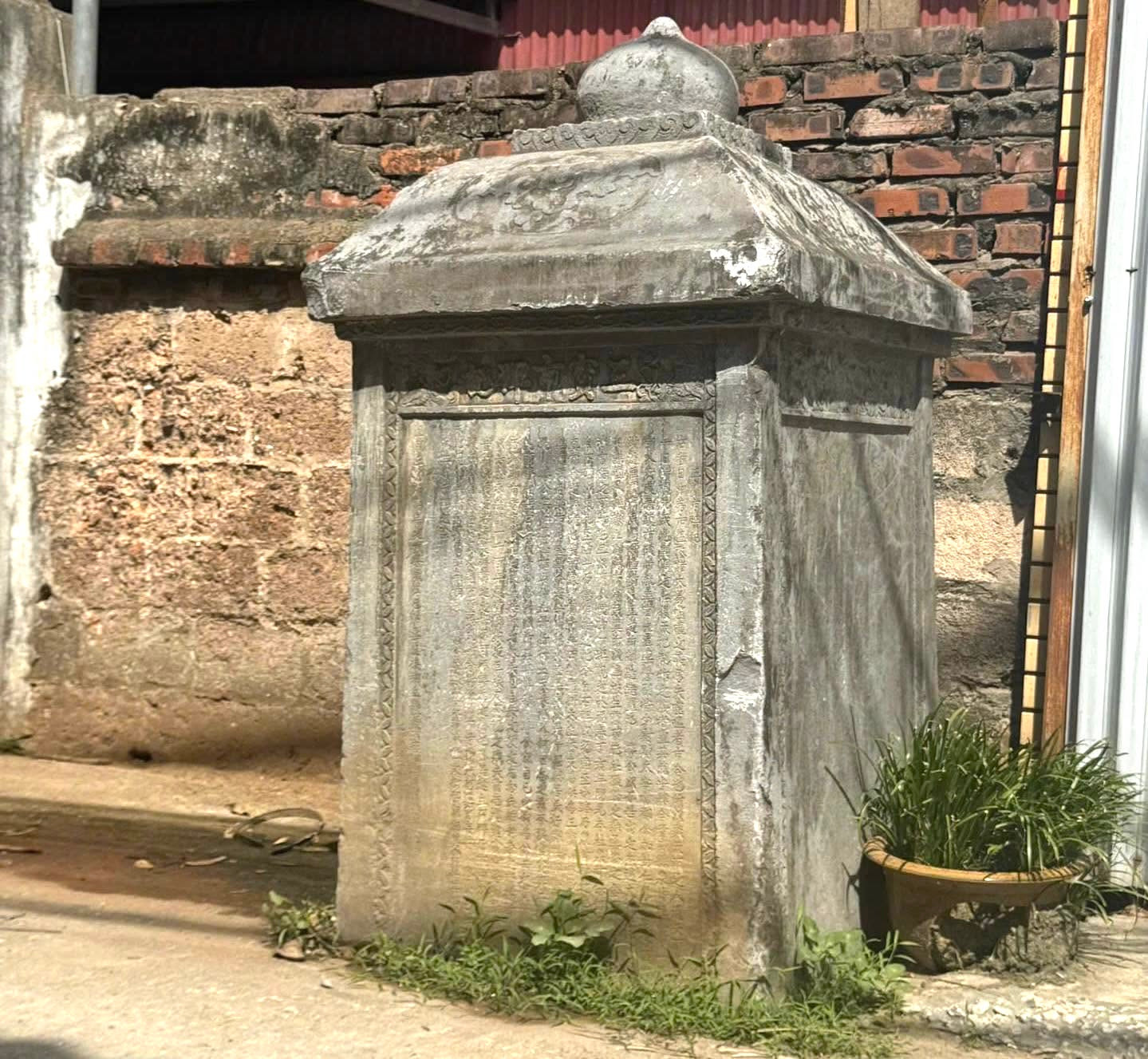 daoquangnhieu4.jpg