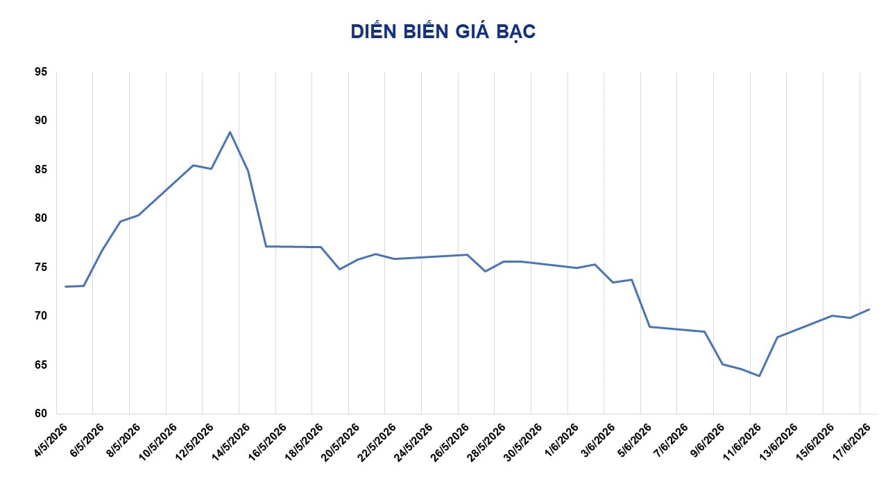 anh-4_-dien-bien-gia-bac(1).jpg