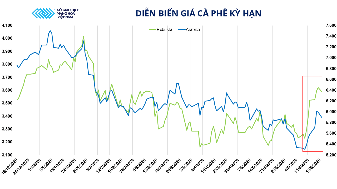 anh-3_-dien-bien-gia-ca-phe-ky-han.png