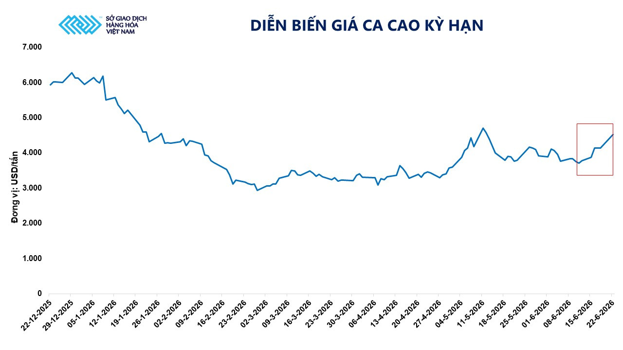 dien-bien-gia-ca-cao-ky-han.jpg