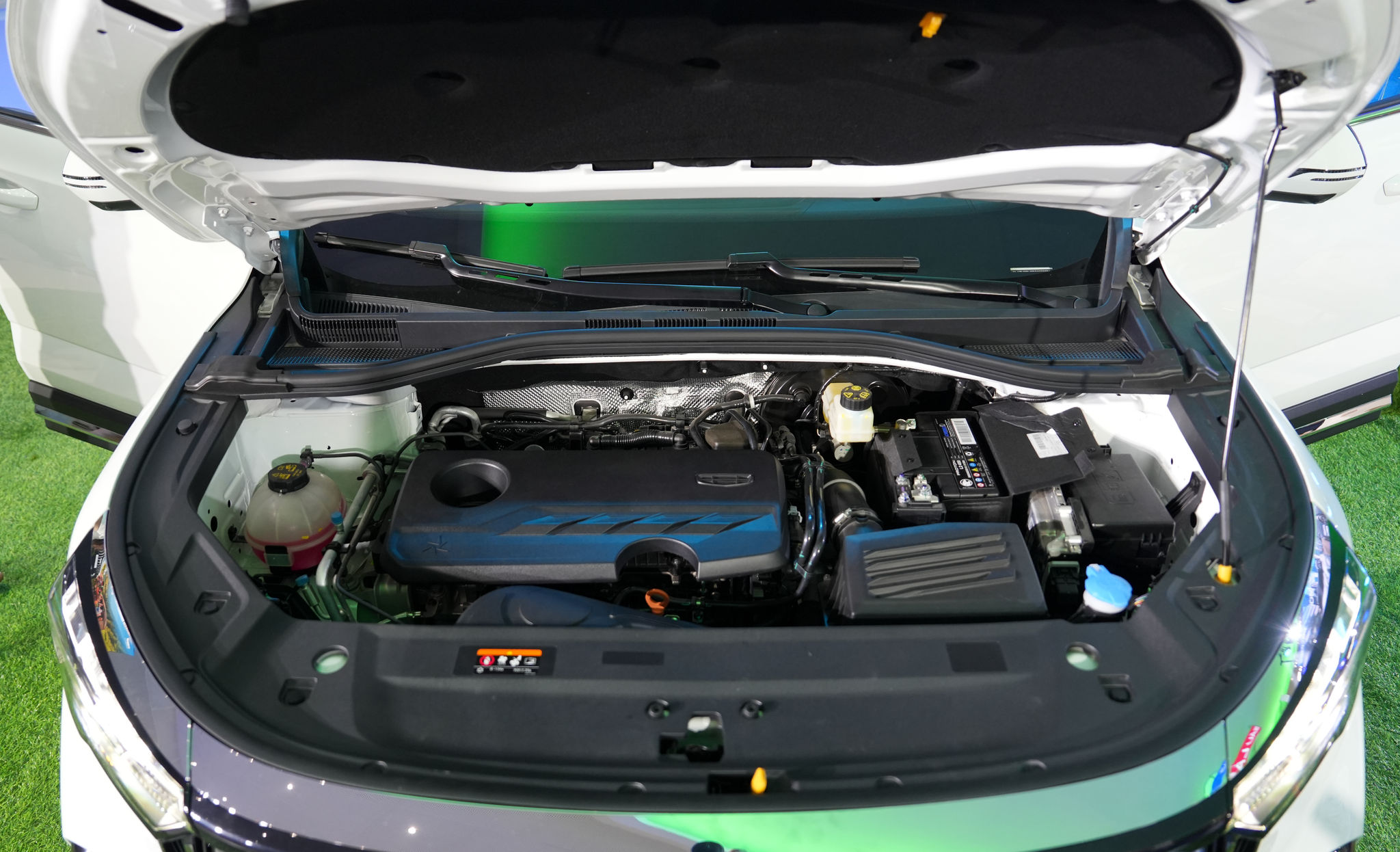 dsc02179-2.jpg