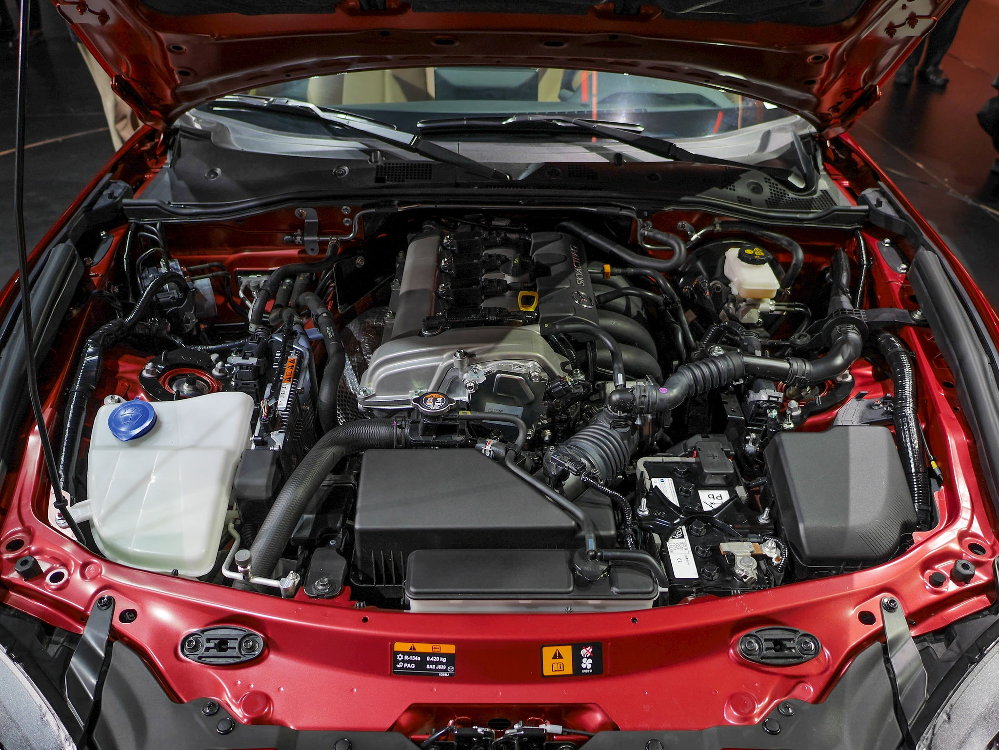 p9940422-2.jpg