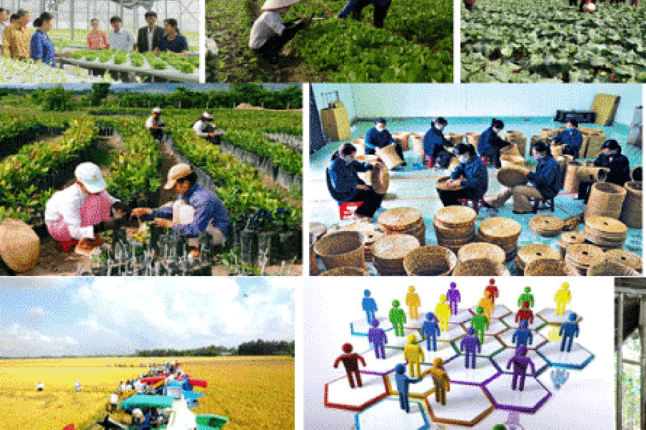 Khuyến khích các tổ chức, doanh nghiệp tham gia, liên kết chặt chẽ với hợp tác xã