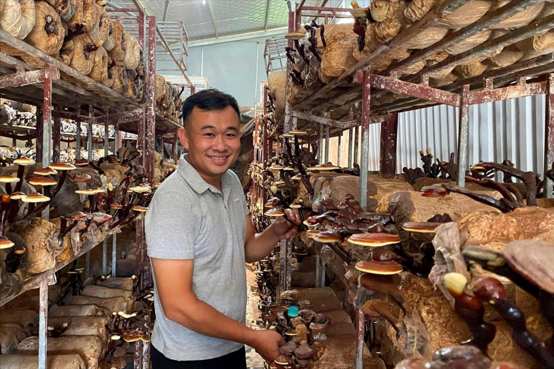 Nông dân trẻ Thiên Lộc và khát vọng đưa nấm lim xanh vươn xa