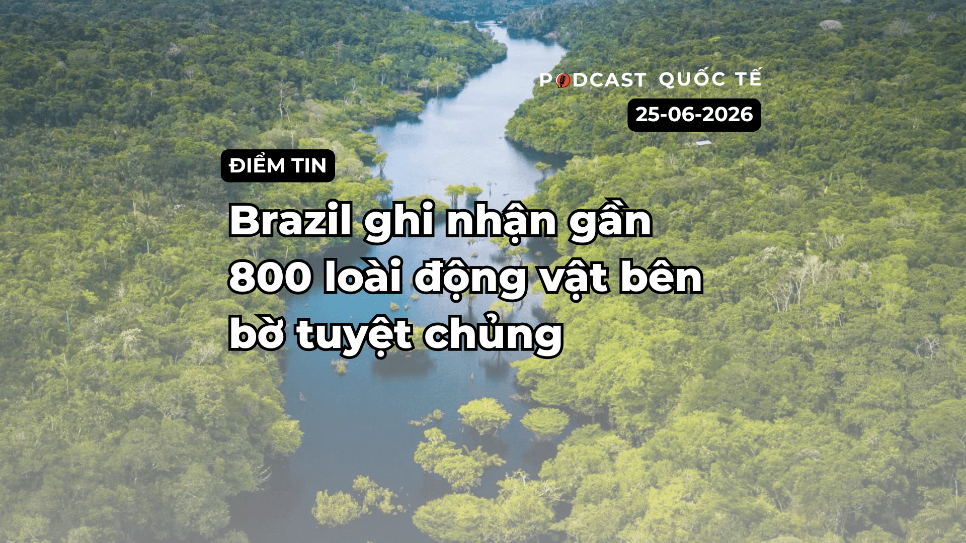 [Podcast] Tin tức thế giới ngày 25-6: Venezuela và Nhật Bản ghi nhận động đất mạnh