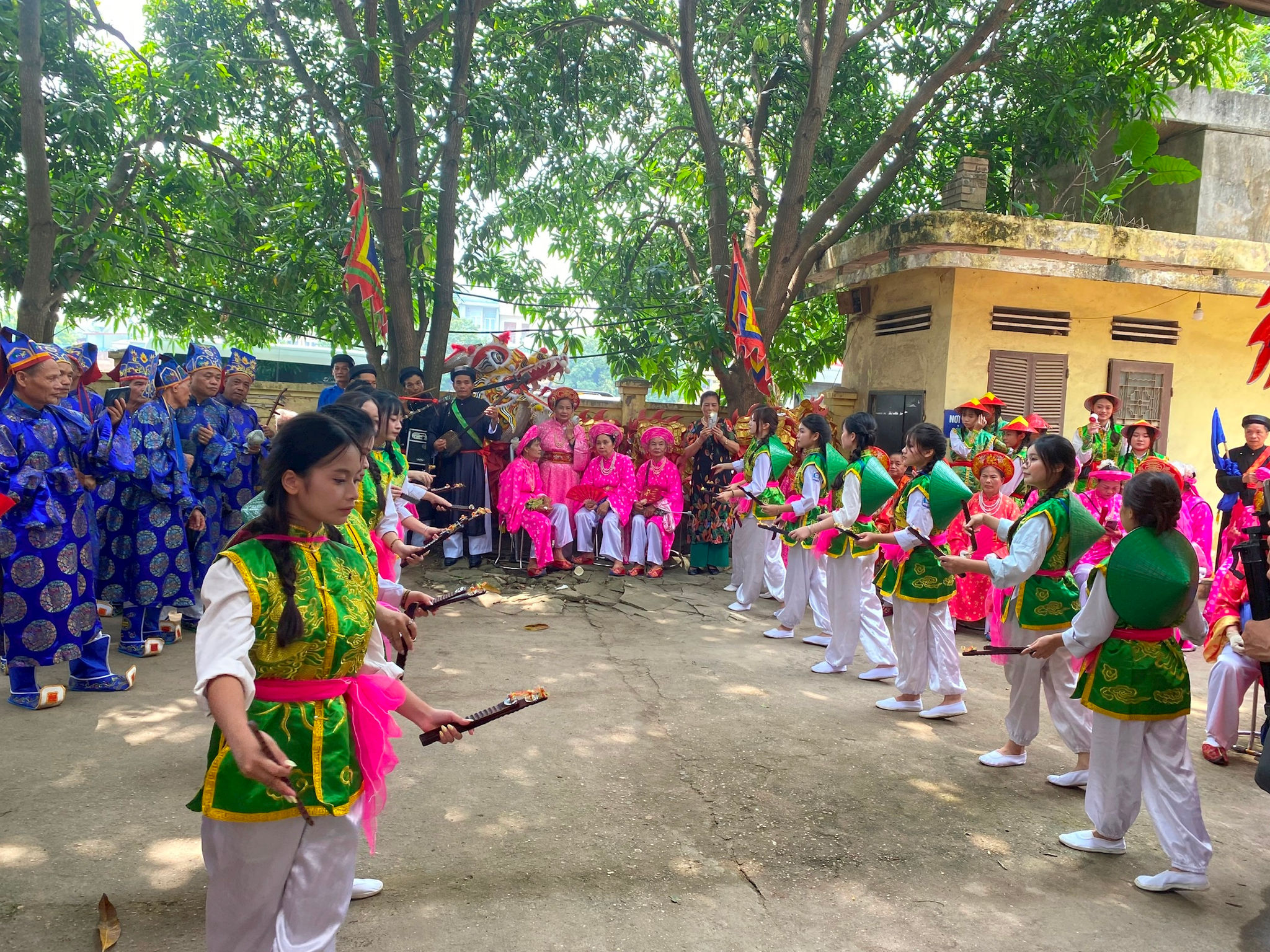 dinh-chem-1.jpg