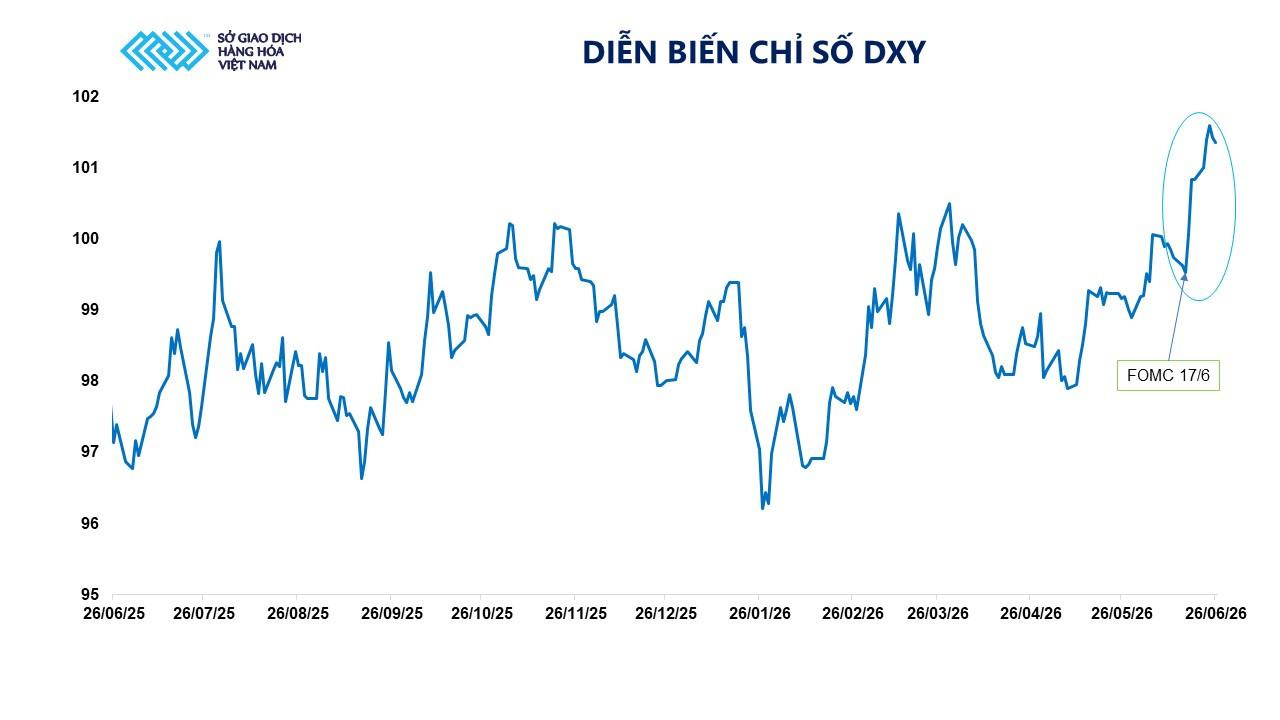 dien-bien-chi-so-dxy.jpg