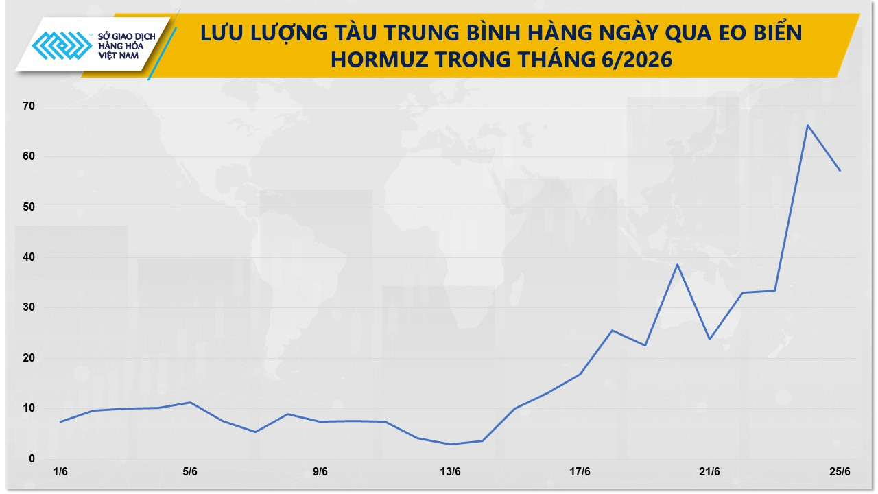 luu-luong-tau-trung-binh-hang-ngay-di-qua-eo-bien-hormuz-trong-thang-6_2026.jpg