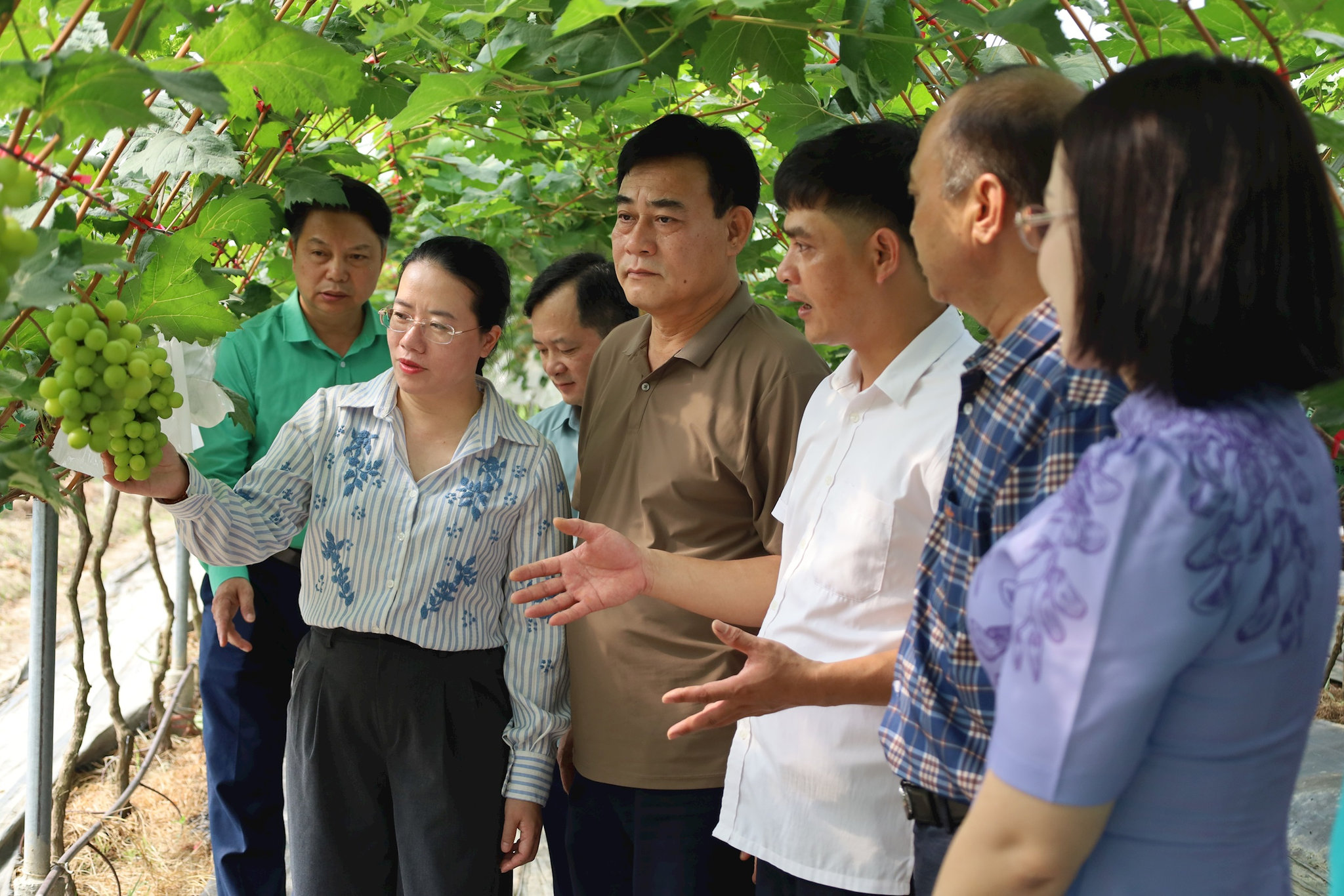 thanh-hoa.jpg