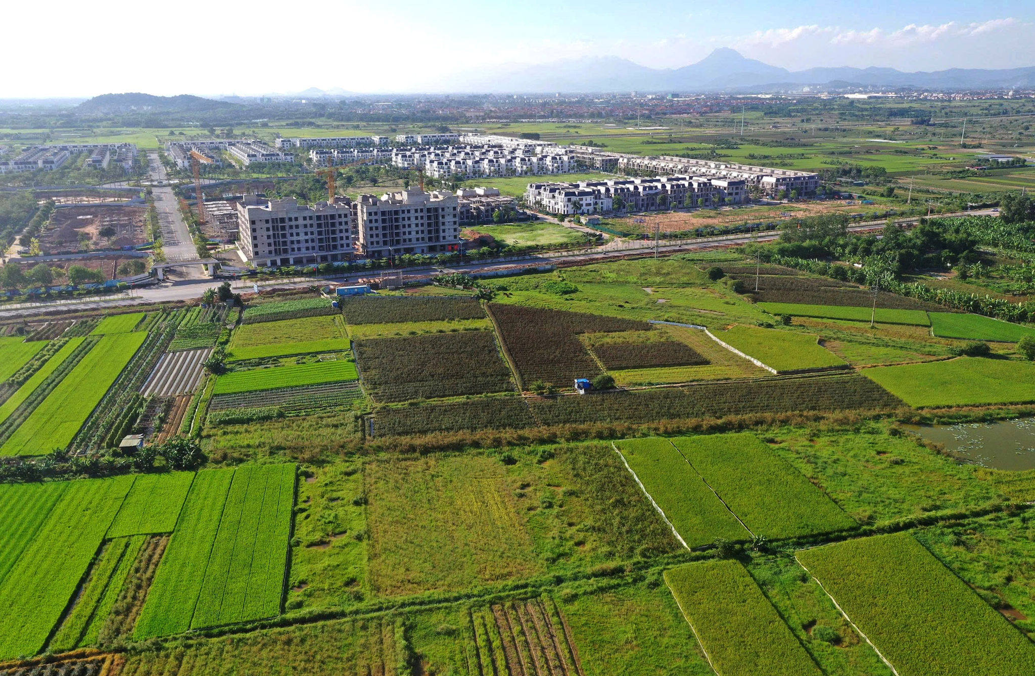 luat-thu-do-nam-2026-tao-co-che-phan-quyen-phan-cap-cho-thanh-pho-ha-noi-trong-linh-vuc-quan-ly-dat-dai.-anh-pham-hung.jpg