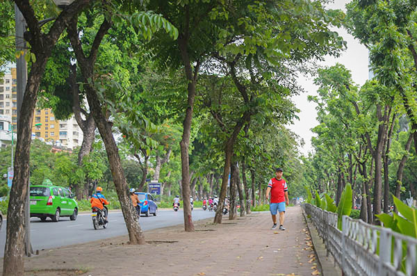 Bắc Bộ nhiều nơi mưa to về chiều tối và đêm