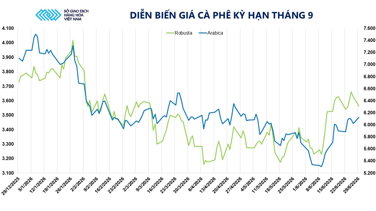 dien-bien-gia-ca-phe-ky-han-thang-9.jpg