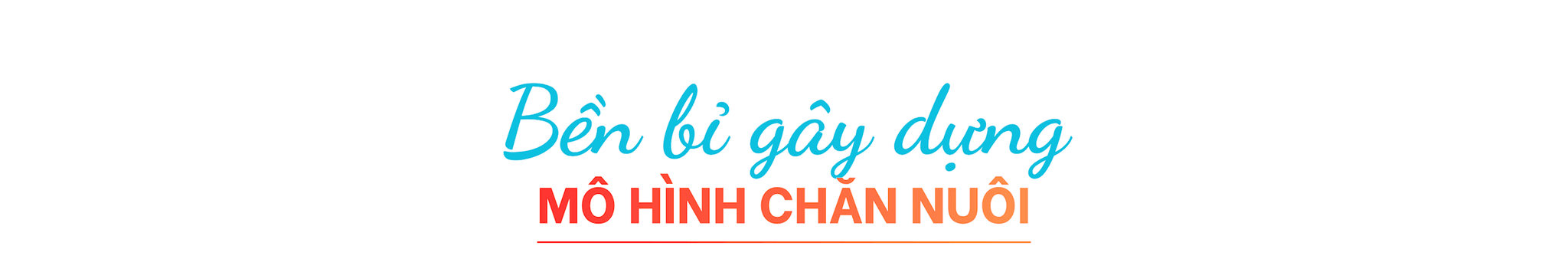 ben-bi-gay-dung-3.png