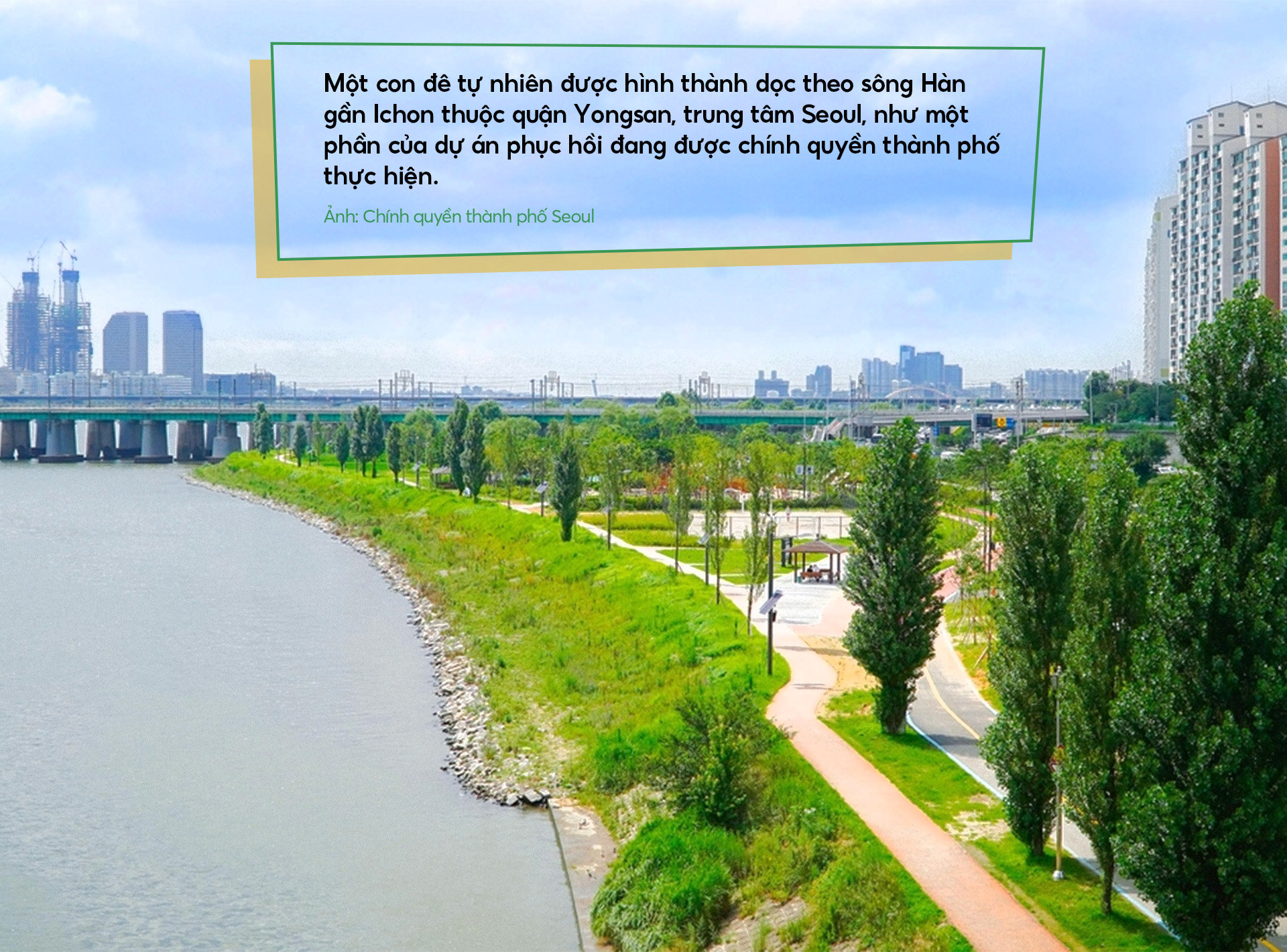 quotetwo.jpg