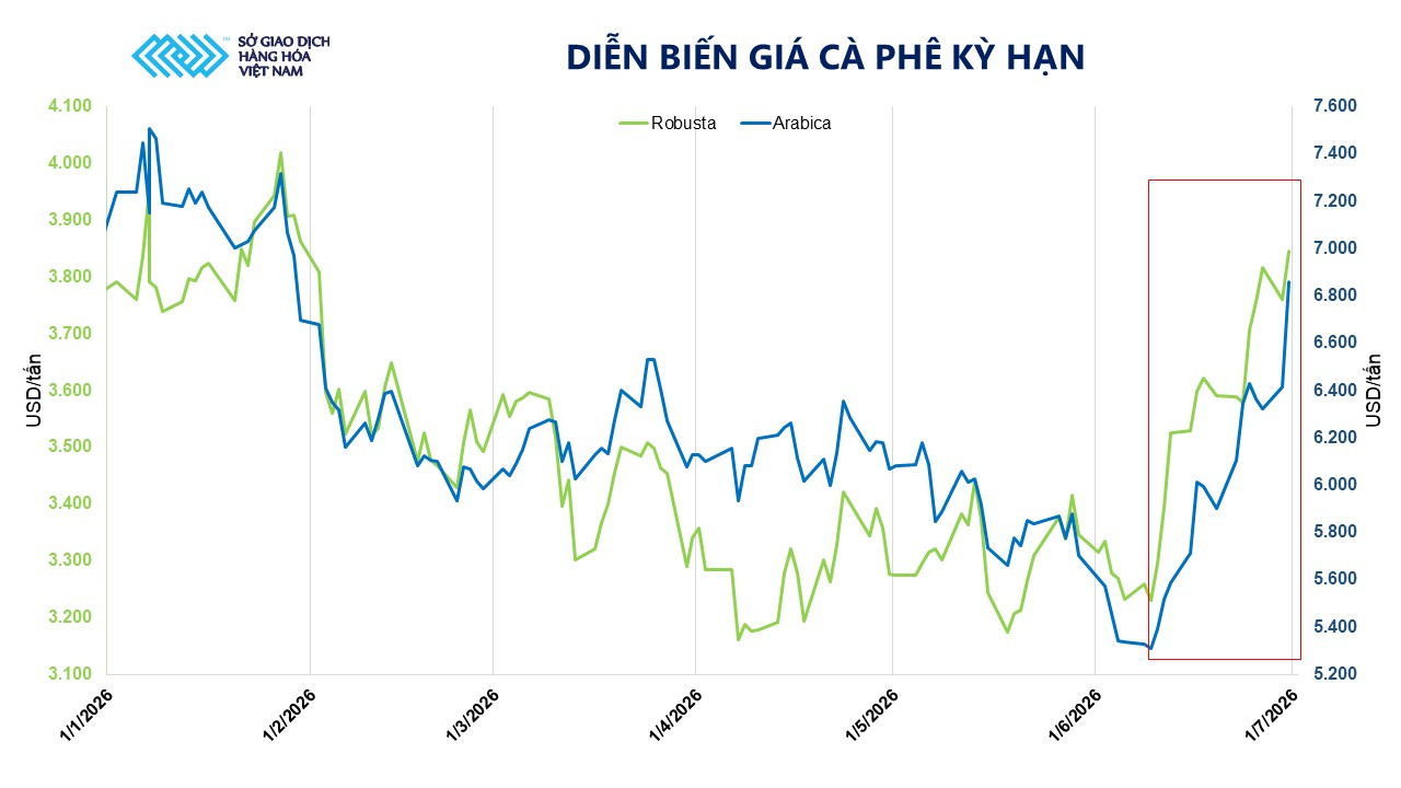 anh-2_-dien-bien-gia-ca-phe-ky-han.jpg