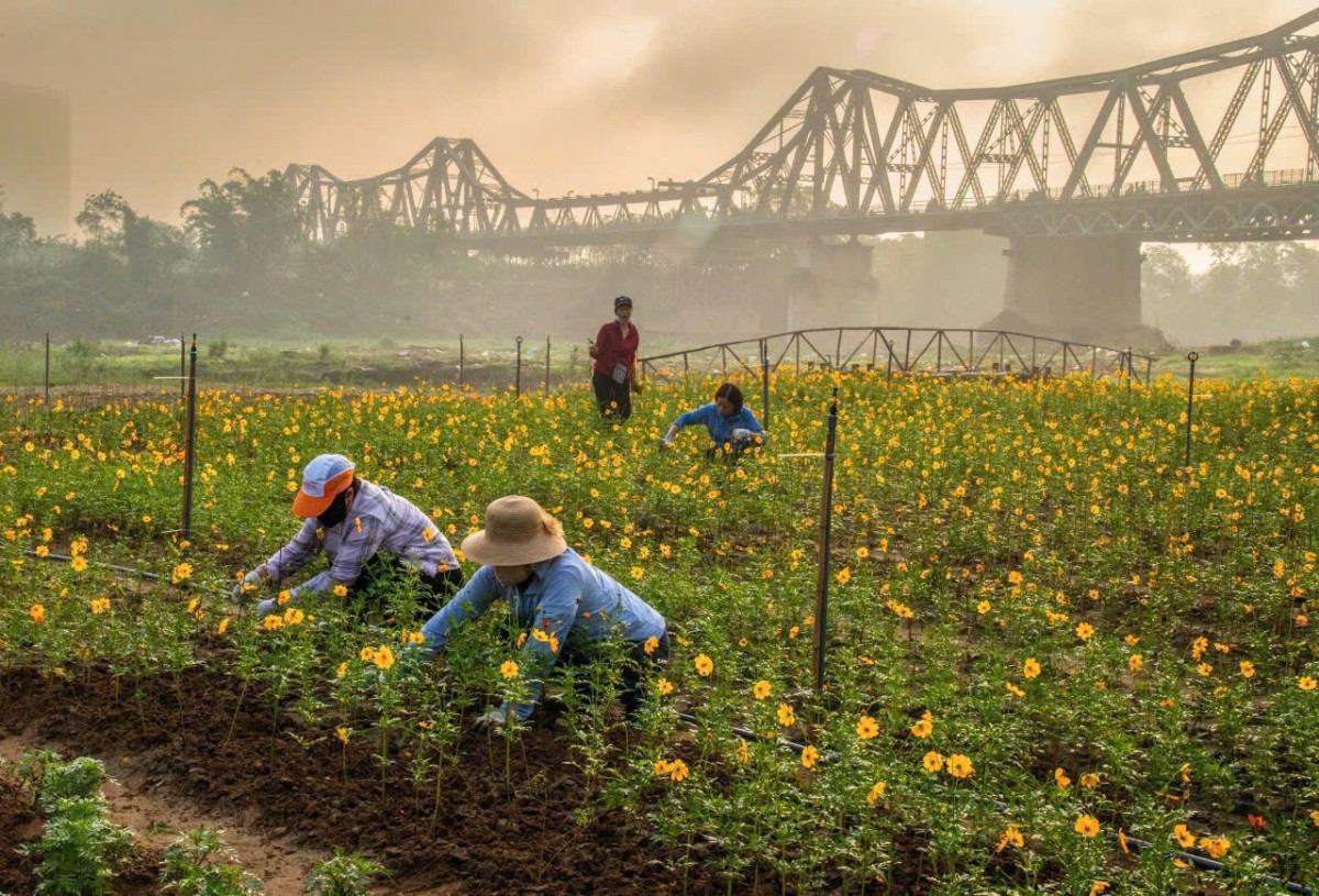 laodongthudo.vn-stores-news_dataimages-2025-042025-09-10-_9438274d17a5a7fbfeb420250409105949.jpg