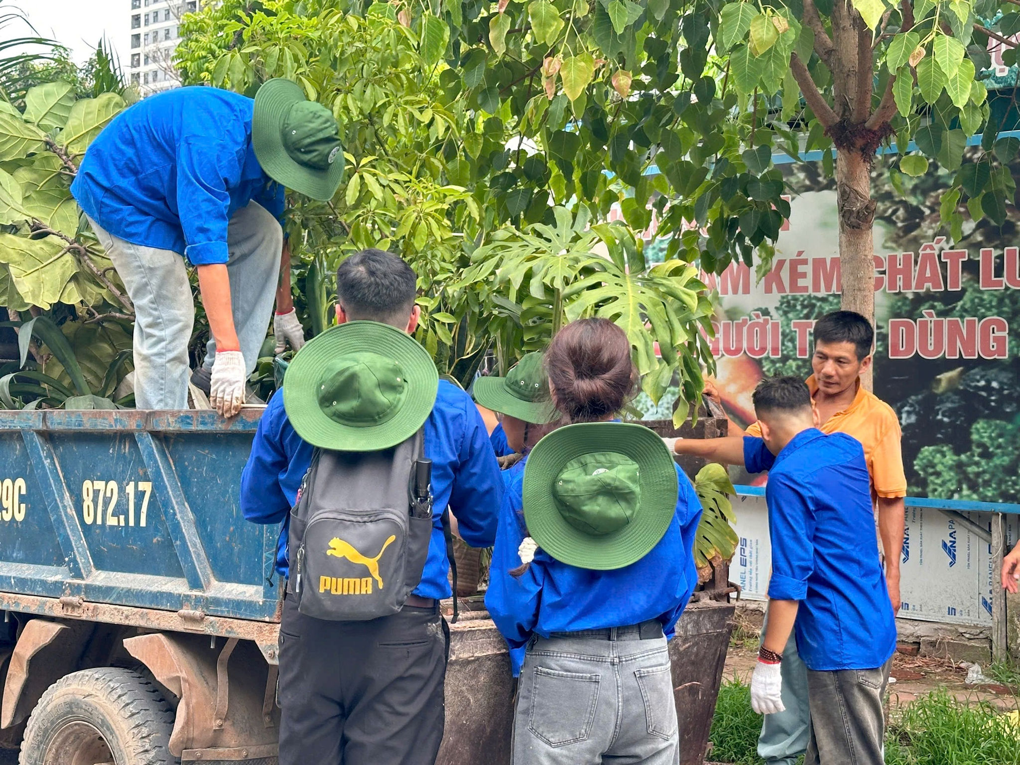 xử lý các trường hợp chậu hoa, cây cảnh lấn chiếm vỉa hè
