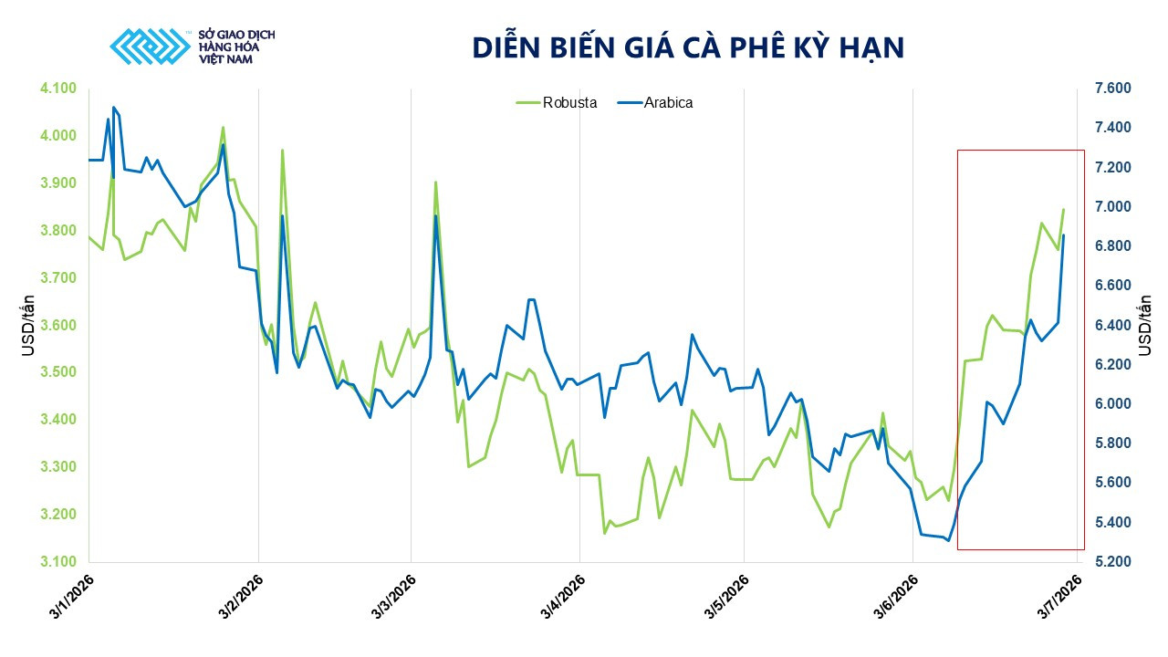 anh-2_-dien-bien-gia-ca-phe-ky-han-1-.jpg