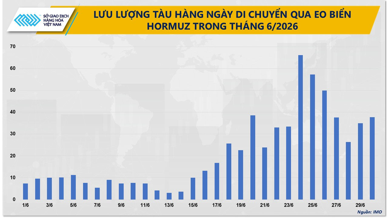 anh-4_-luu-luong-tau-hang-ngay-di-chuyen-qua-eo-bien-hormuz-trong-thang-6.jpg