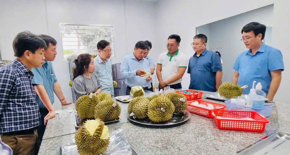 sau-rieng-5.jpg