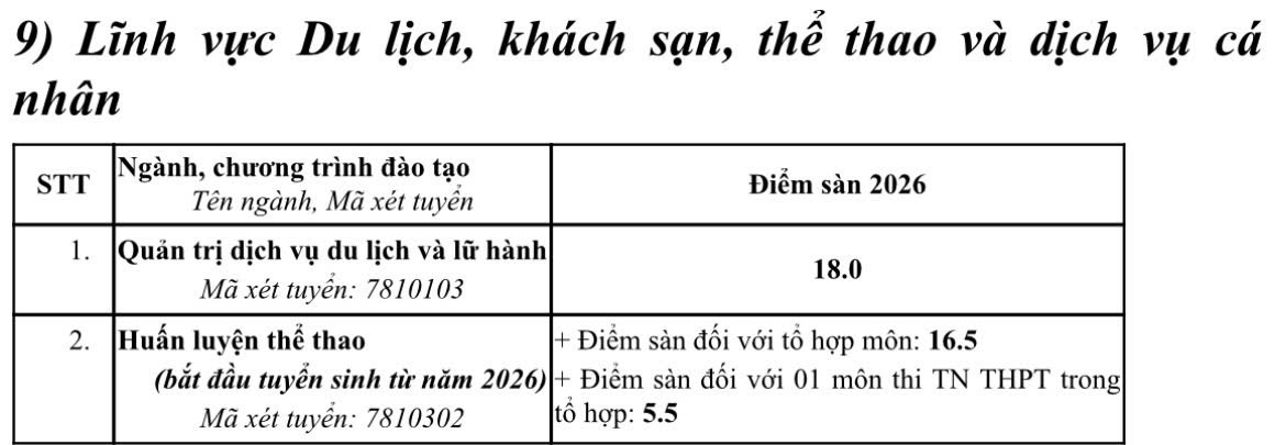 sp6.jpg