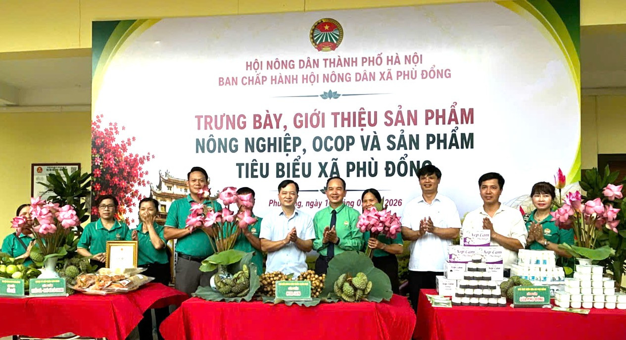 Bàn giải pháp nâng tầm thương hiệu, giá trị cho nông sản xã Phù Đổng