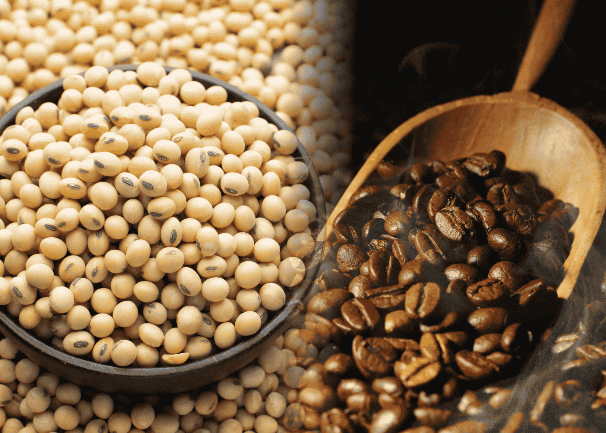 ca-phe-tang-phien-thu-ba-lien-tiep-mxv-index-nhich-len-2574-diem.png