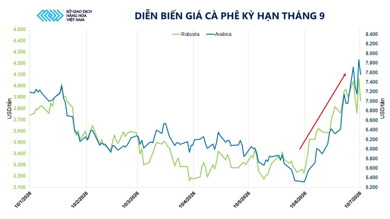 dien-bien-gia-ca-phe-ky-han-thang-9-1-.jpg