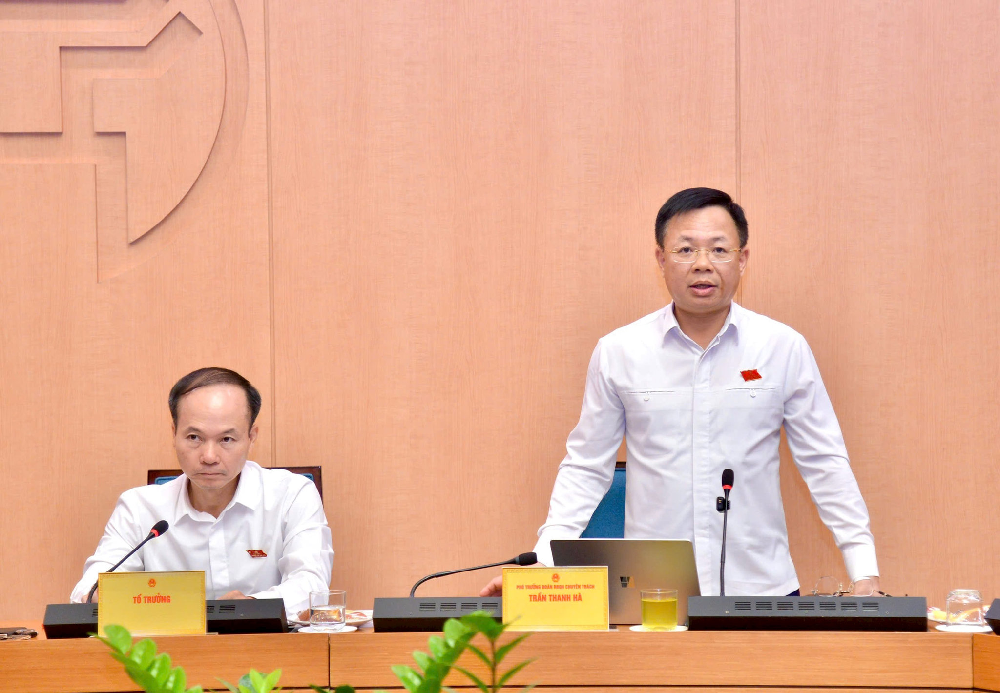 thanh-ha.jpg